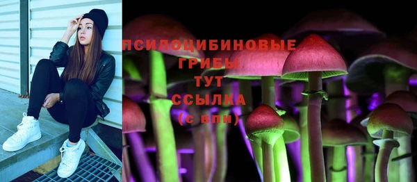 СК Алексеевка