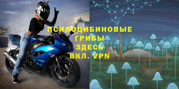 спиды Алзамай