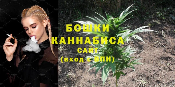 прущие грибы Михайловск