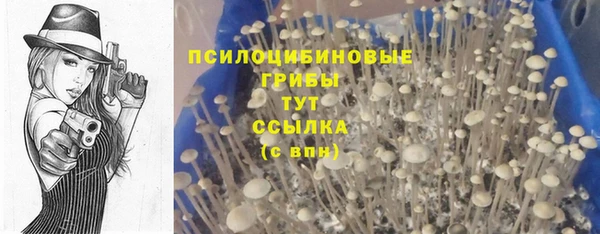 спиды Алзамай