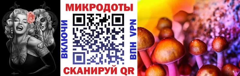 Псилоцибиновые грибы GOLDEN TEACHER маркетплейс официальный сайт Одинцово
